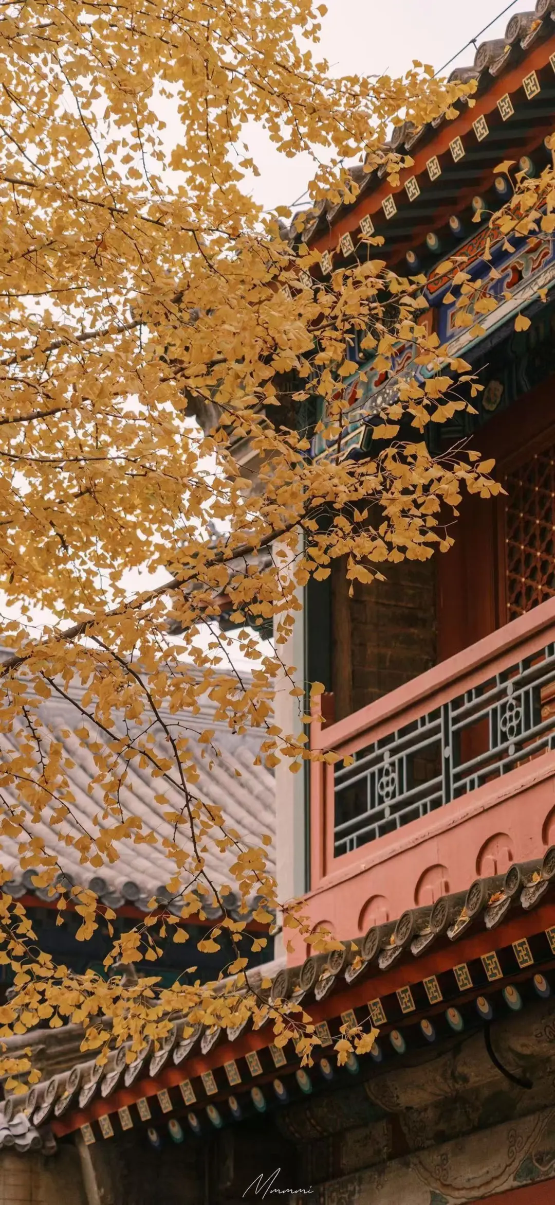 图片 3