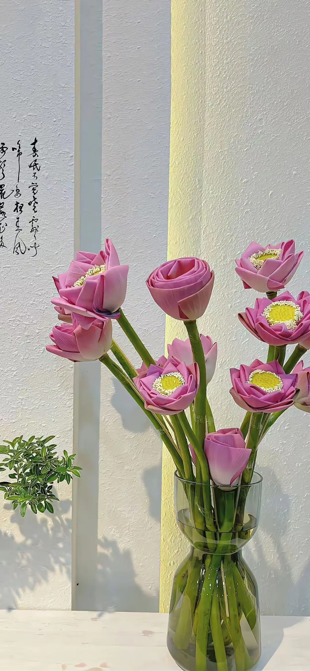 图片 20