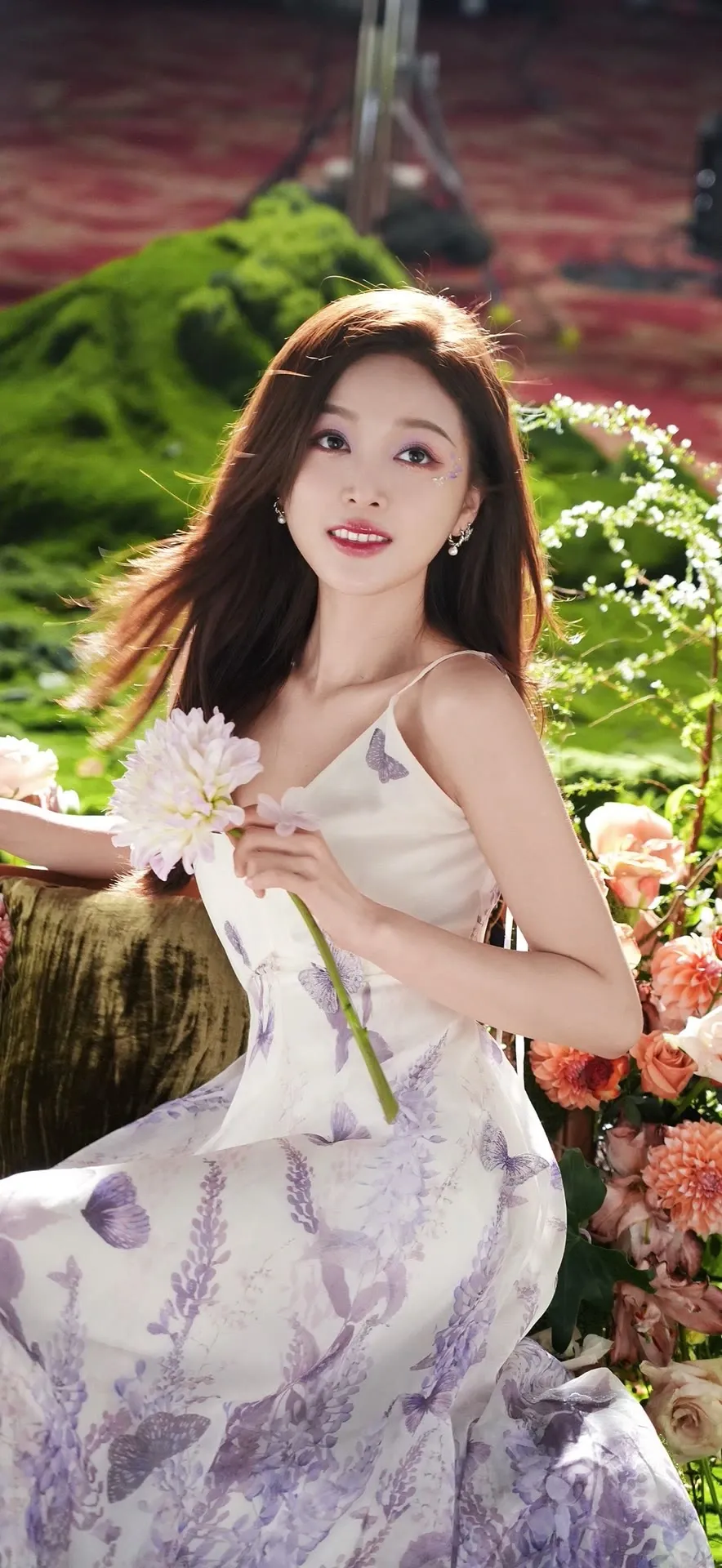 图片 11
