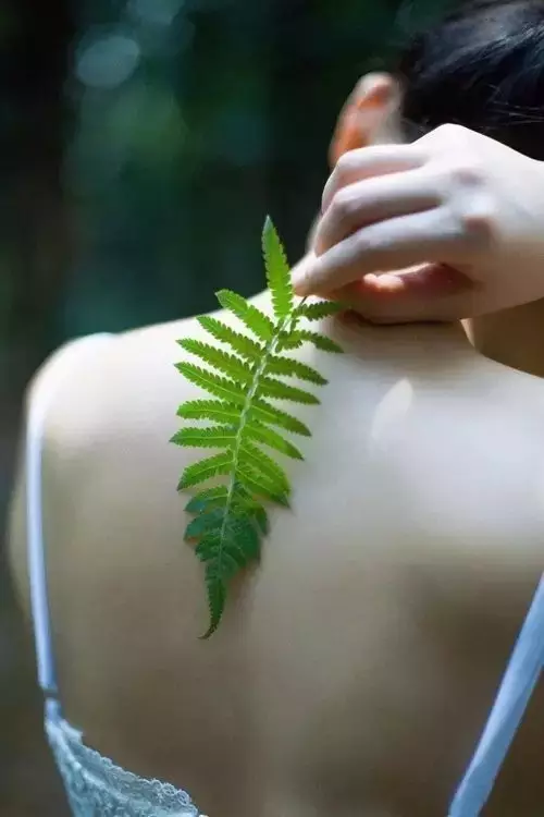 图片 28