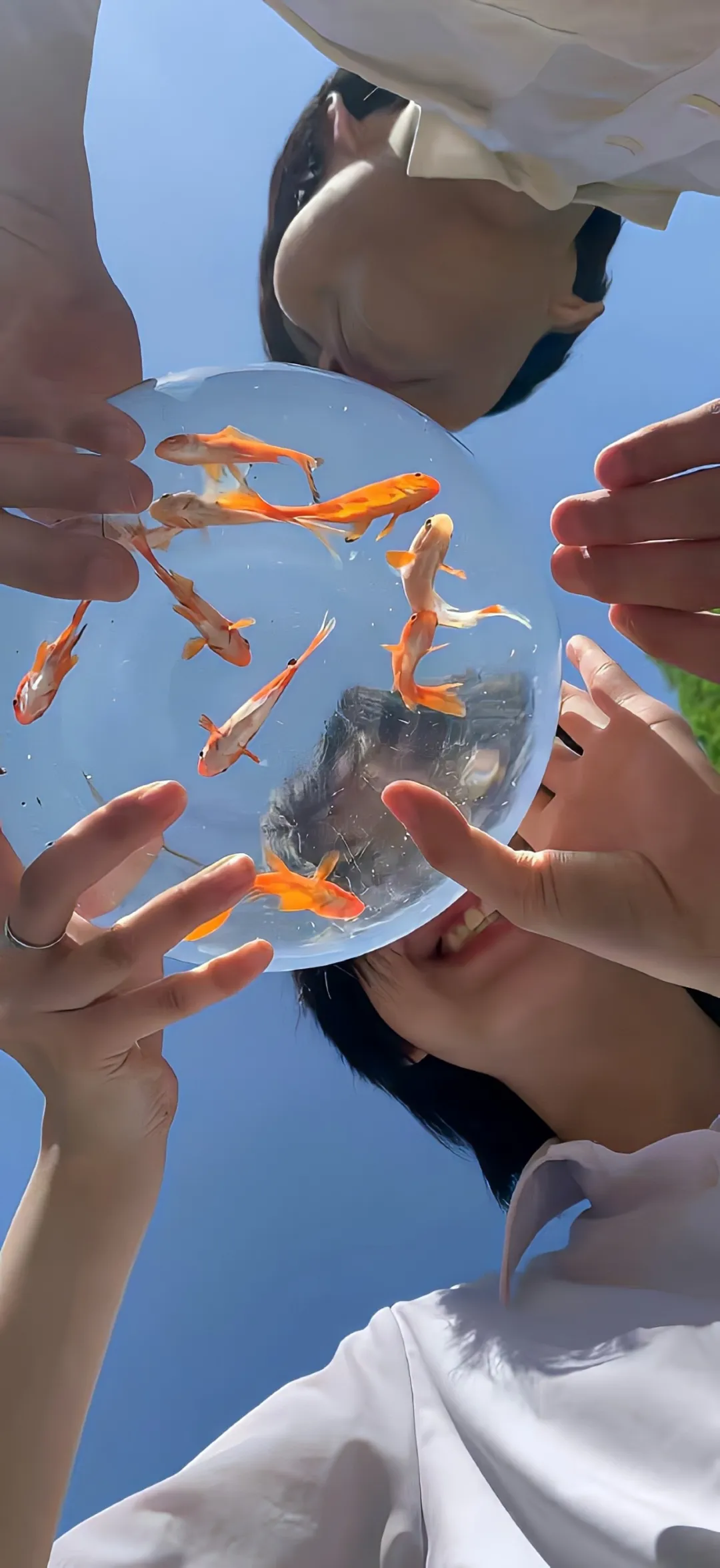 图片 15