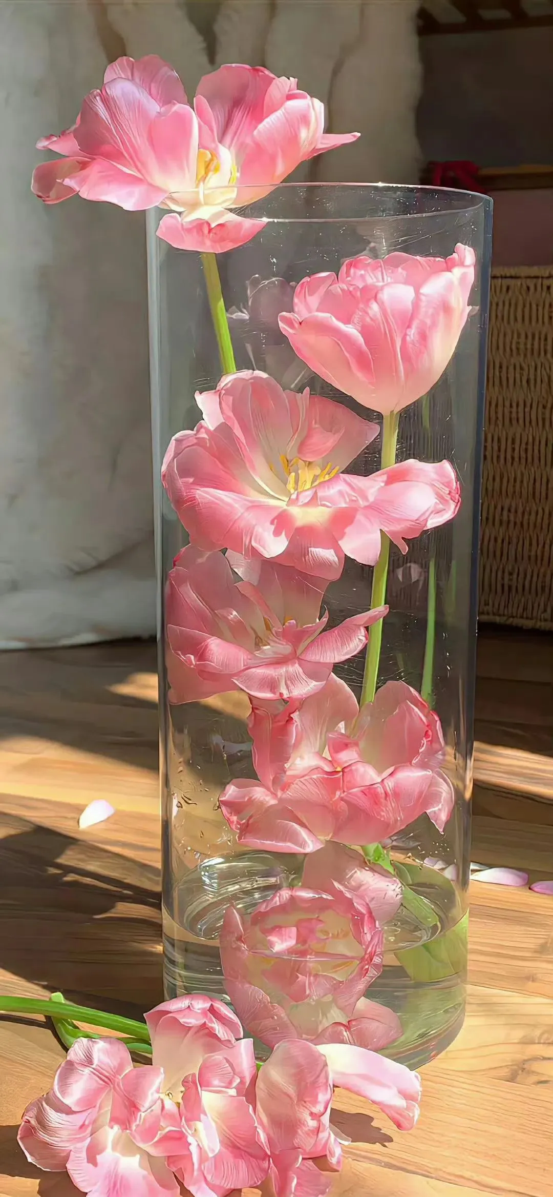图片 23