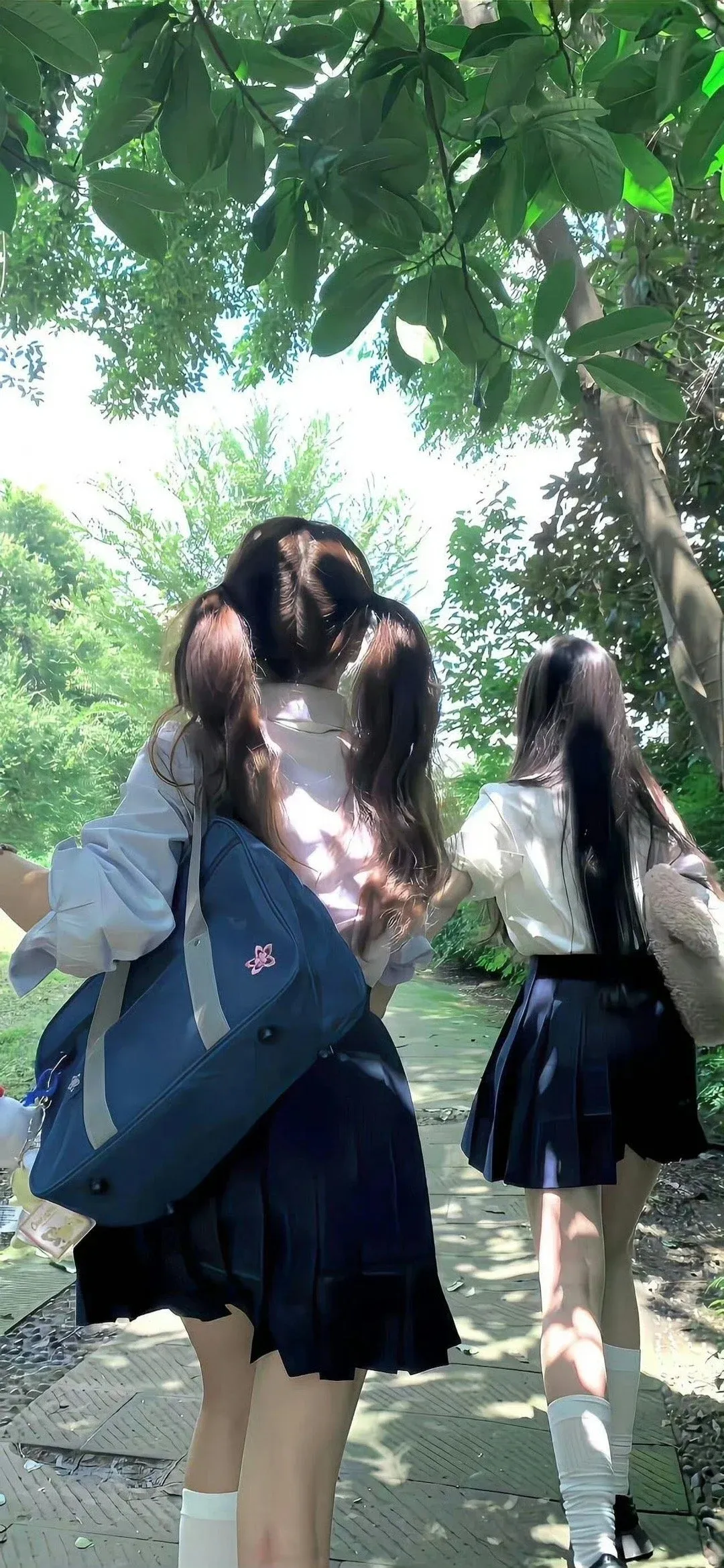 图片 5