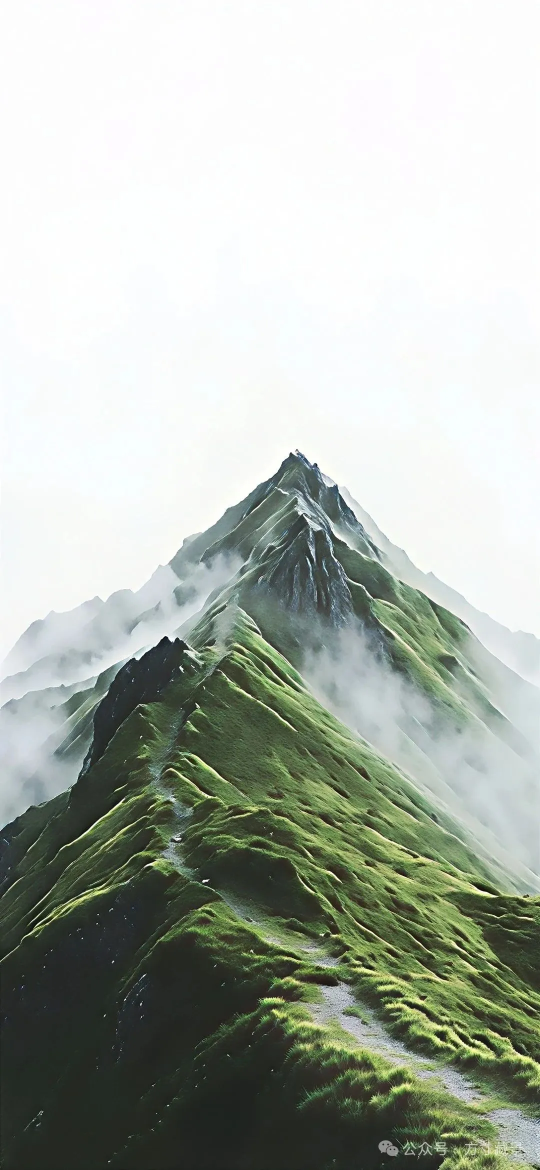 图片 5