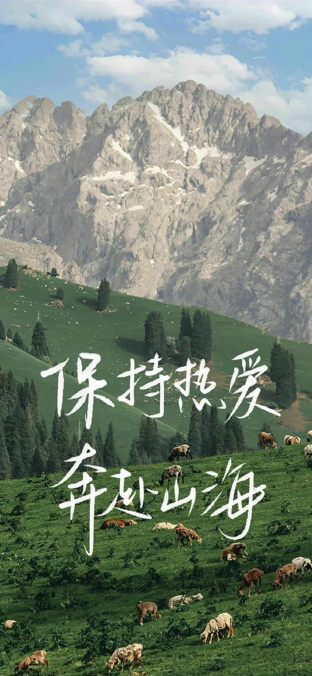 图片 3