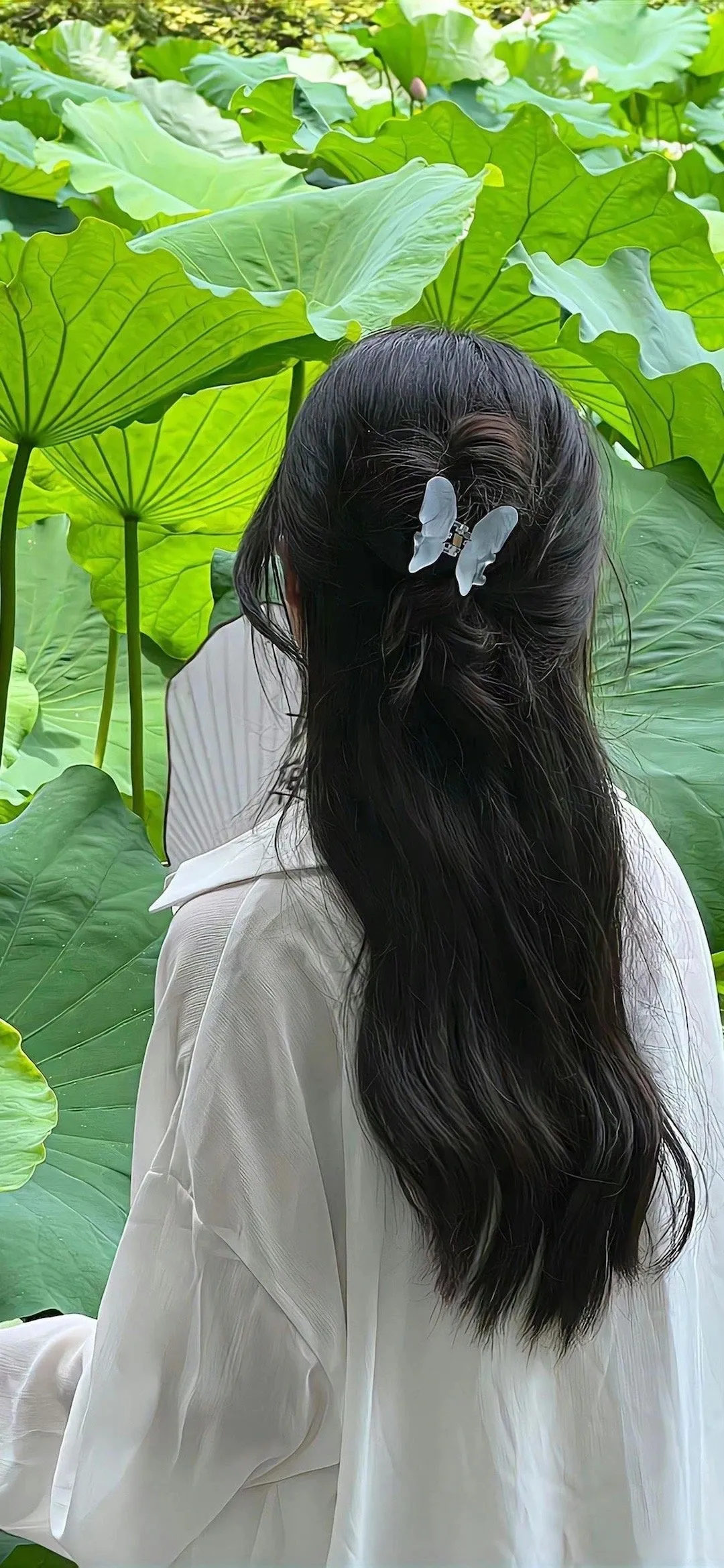 图片 1