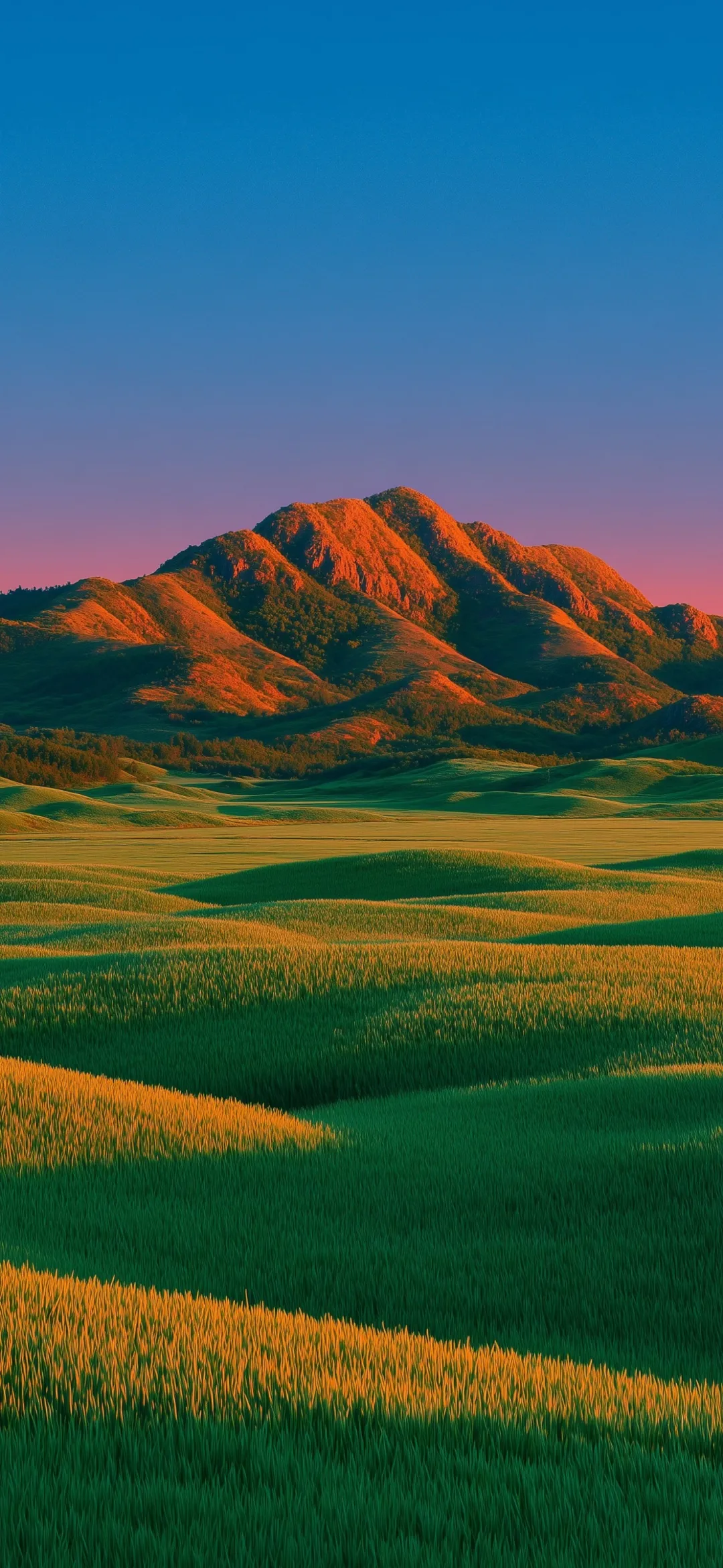 图片 1