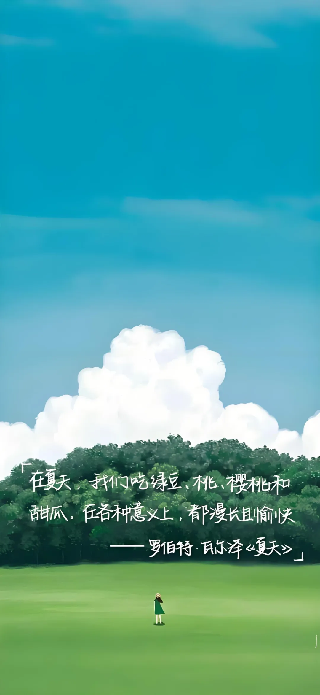 图片 12