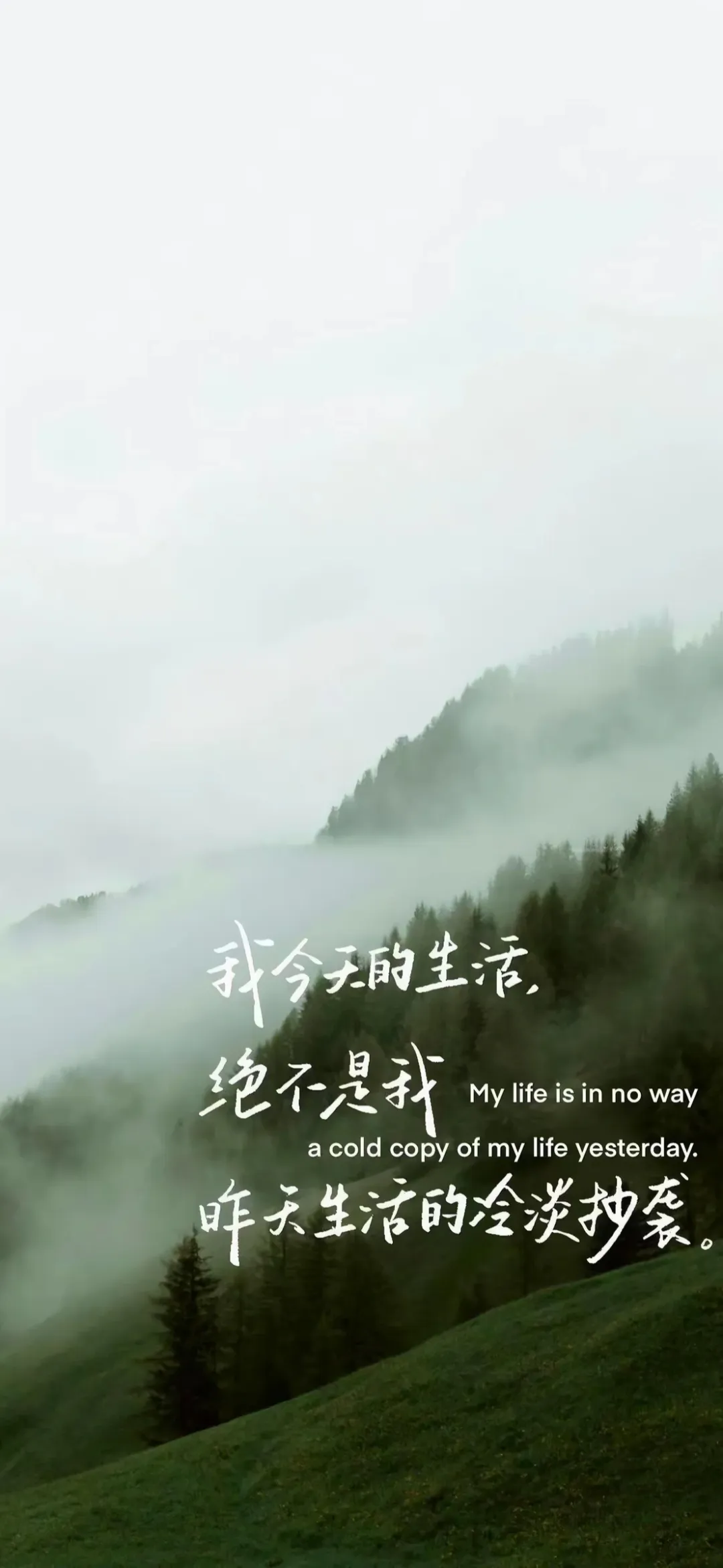 图片 5