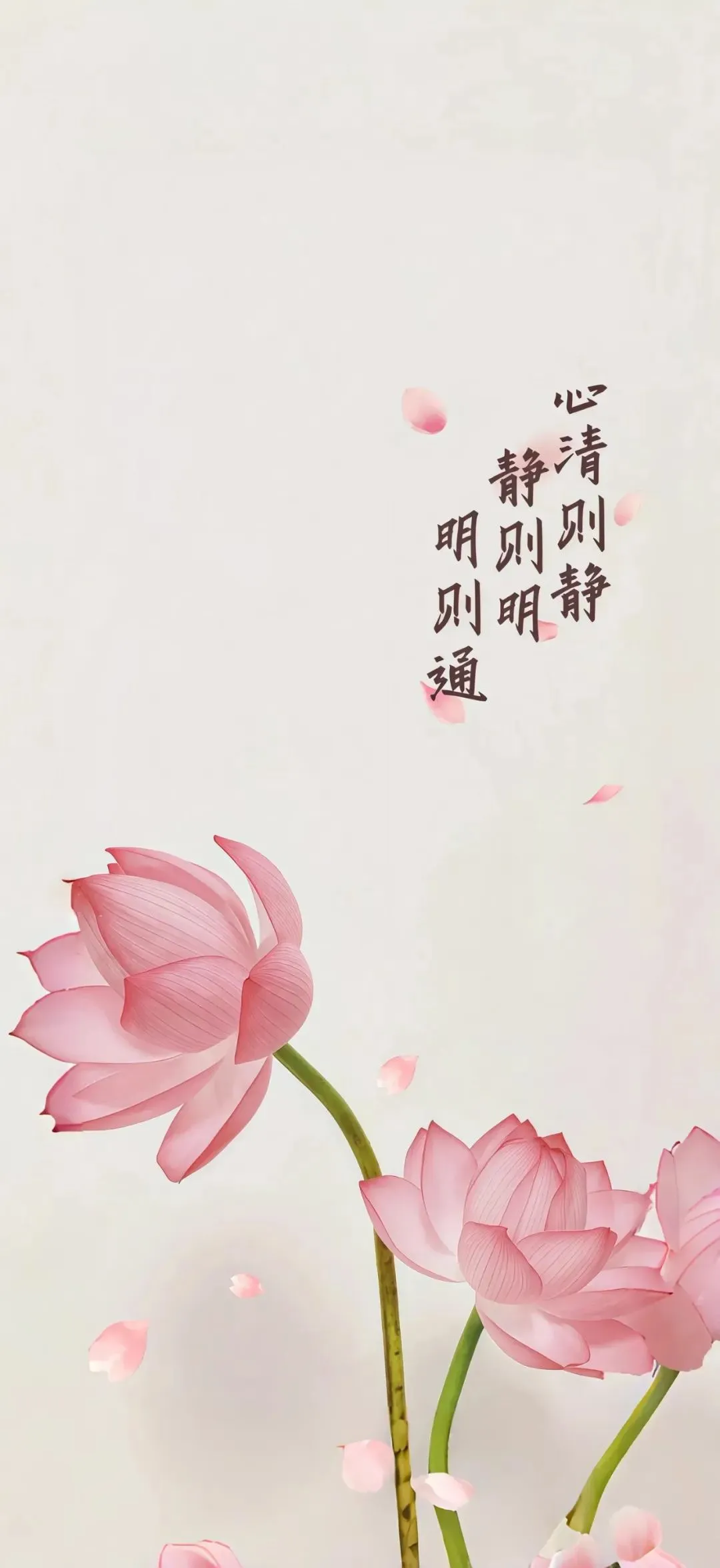 图片 44
