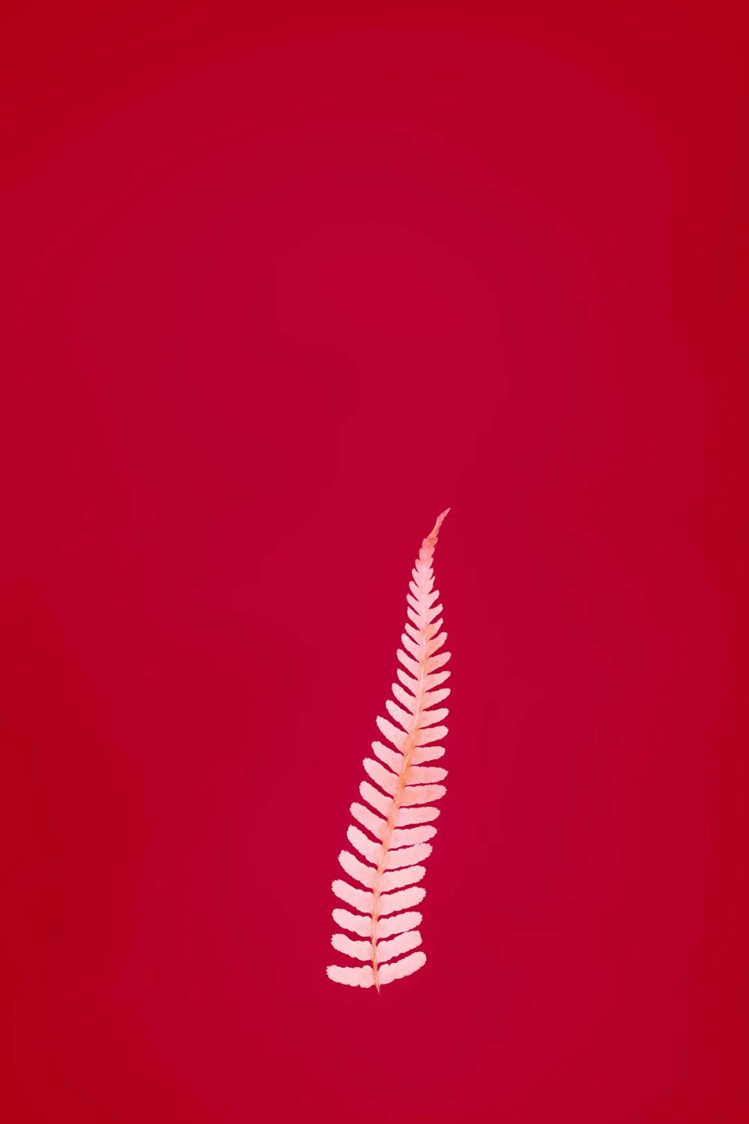 图片 8