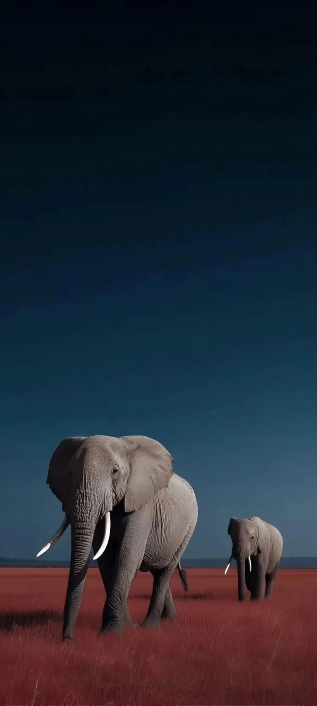 图片 4