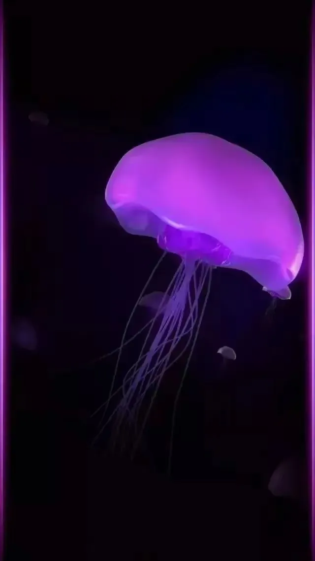 图片 6