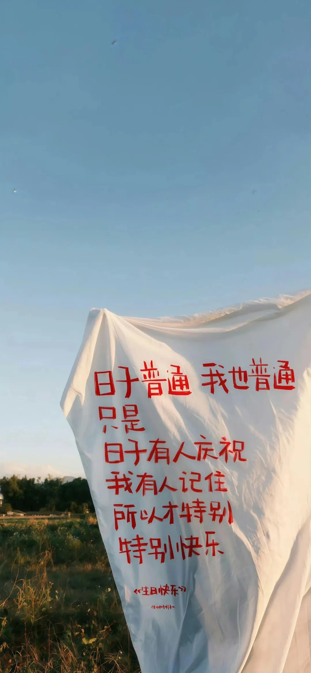 图片 19