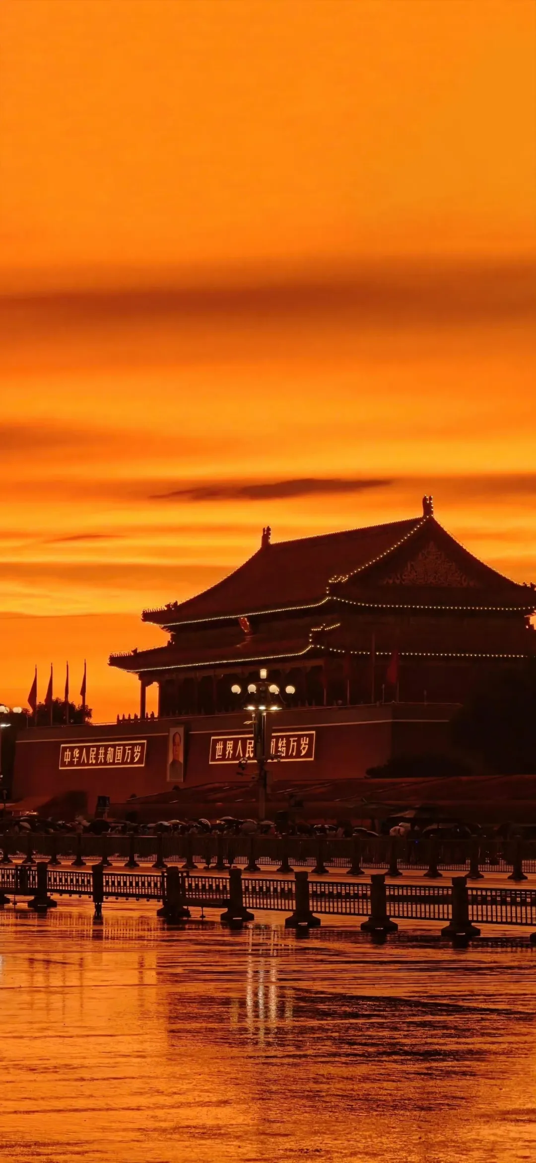 图片 9