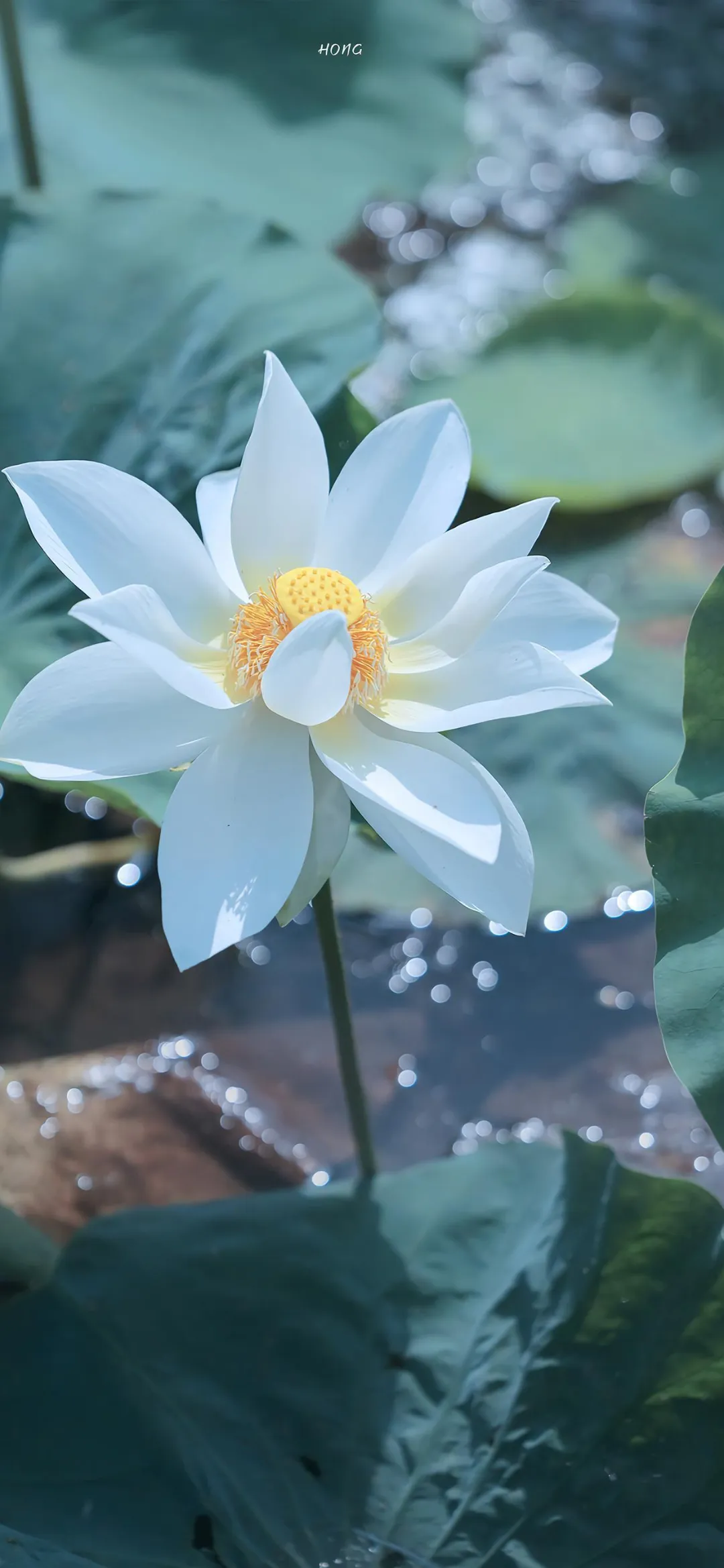 图片 8