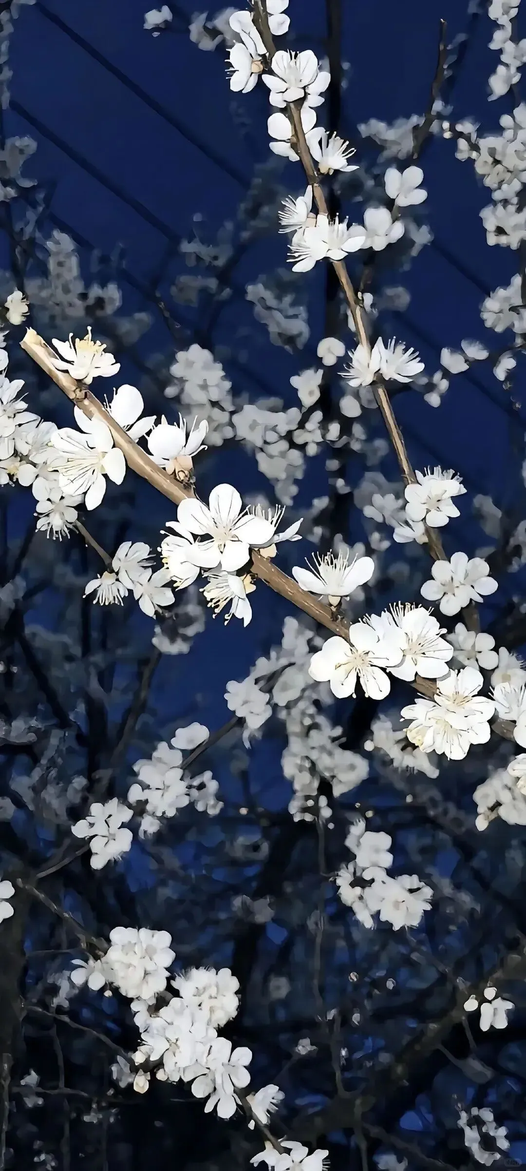 图片 21
